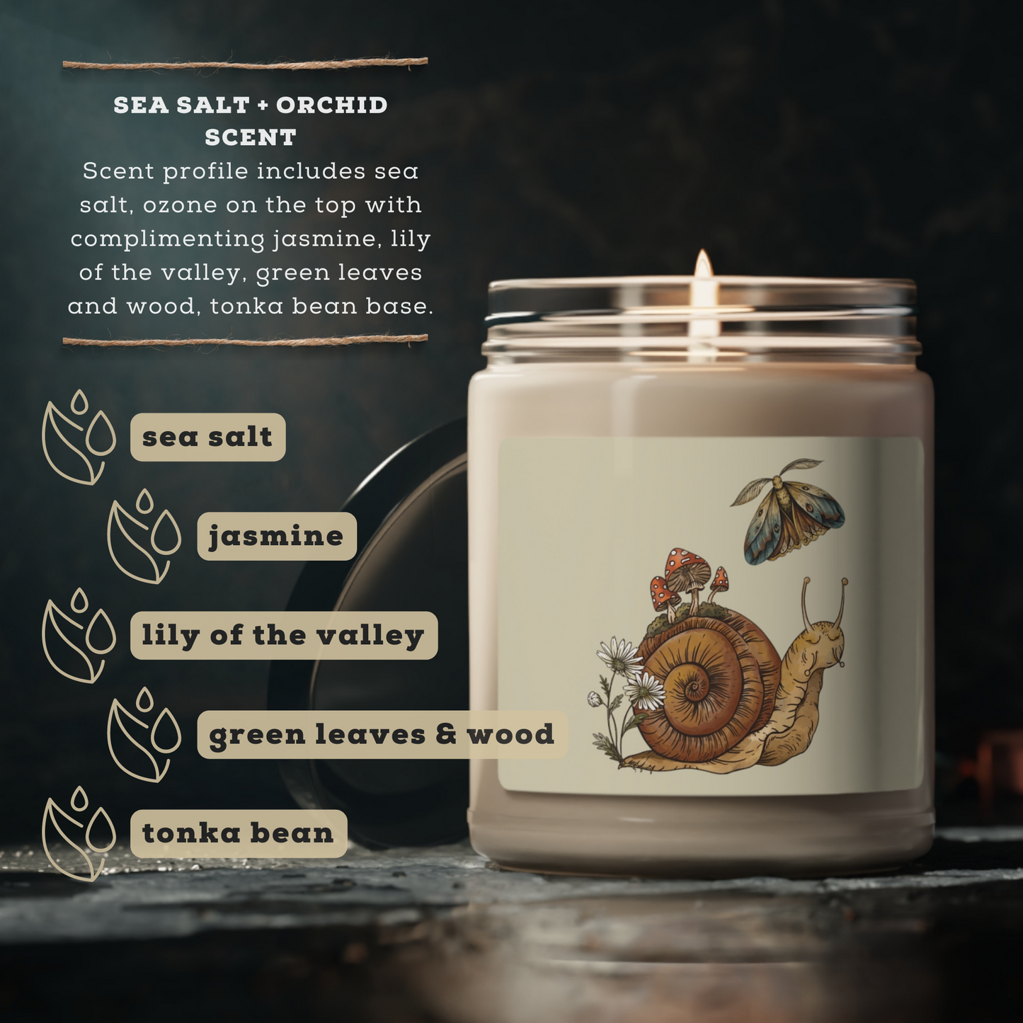 Cottagecore Snail and Moth Home Decor Scented Soy Candle, 9oz